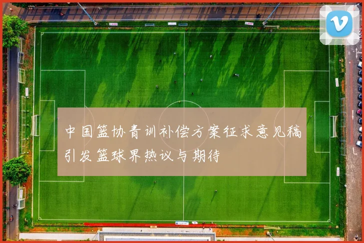 中国篮协青训补偿方案征求意见稿引发篮球界热议与期待