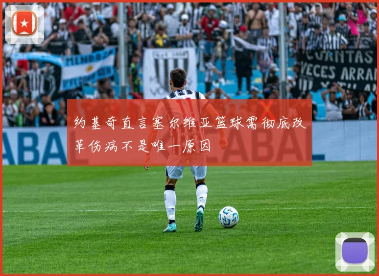 约基奇直言塞尔维亚篮球需彻底改革伤病不是唯一原因